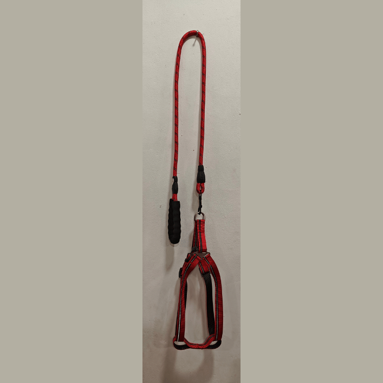 Long Leash with Harness for Medium Sized Dogs in Red