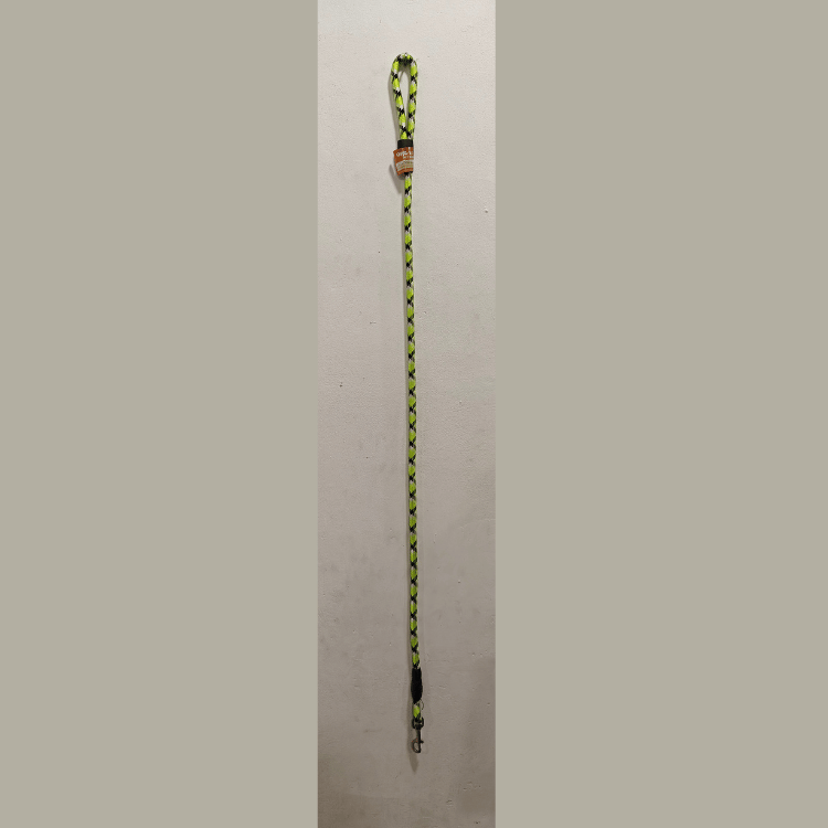 Medium Leash for Dogs Green Colour