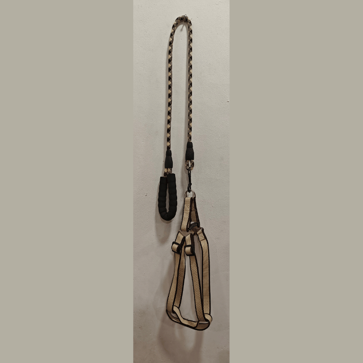 Long Leash with Harness for Medium Sized Dogs in Brown