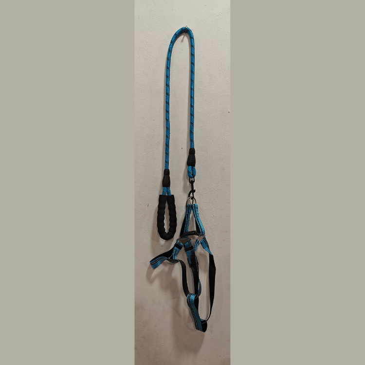 Long Leash with Harness for Medium Sized Dogs in Blue