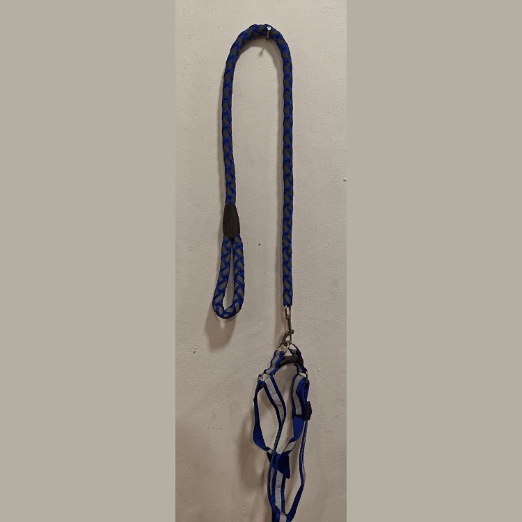 Long Reflective Leash with Harness for Medium Sized Dogs