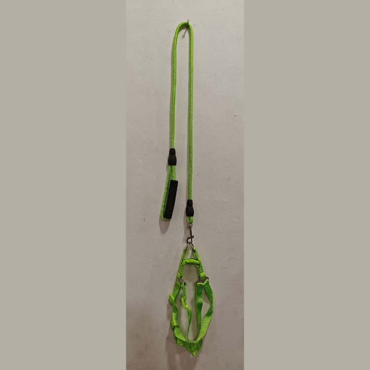 Dog Leash with Harness for Medium Sized Dogs in Green Colour