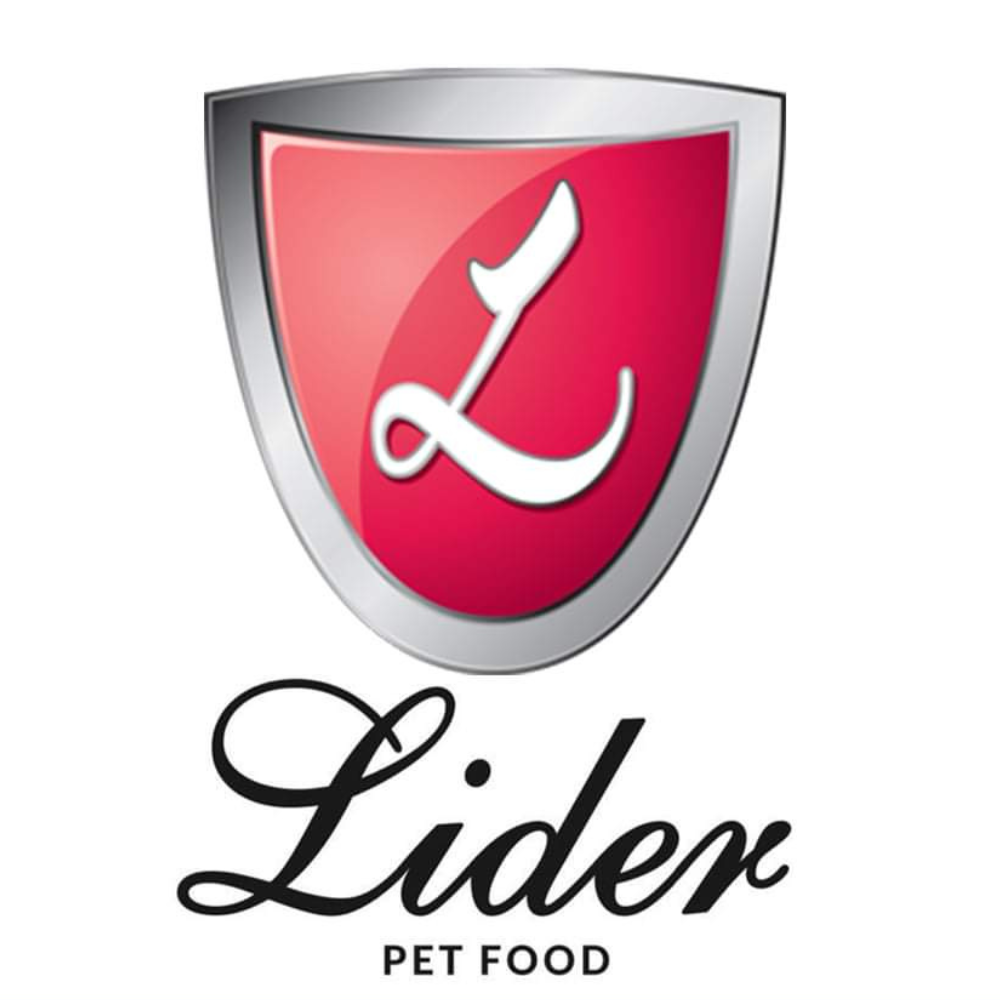 Lider Logo